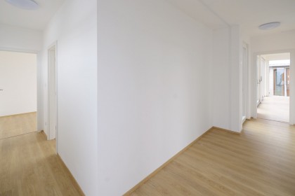 055895-1016.jpg